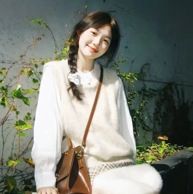 芝加哥警署第五季